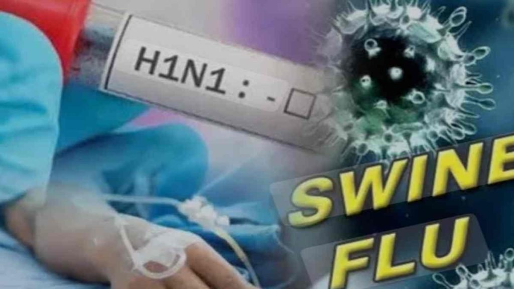 स्वाइन फ्लू से अब तक 11 की मौत : बिलासपुर में फिर एक महिला की गई जान, 9 नए मरीज मिले, जानिए क्या है इस बीमारी के लक्षण…