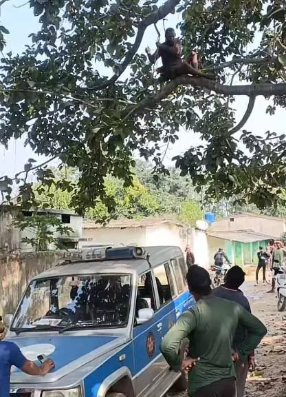 पुलिस की तत्परता से बची एक जान, पेड़ पर चढ़े व्यक्ति को डॉयल 112 टीम ने उतारा सुरक्षित