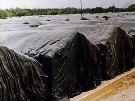 छत्तीसगढ़ मार्कफेड में भ्रष्टाचार के बीज