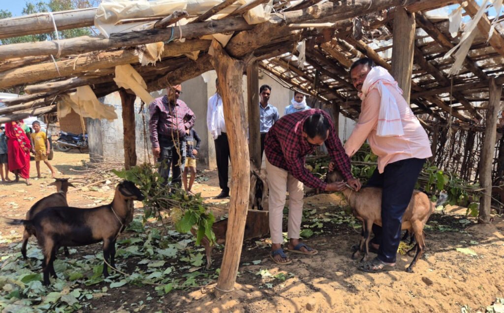 घटोन गांव में पहली बार पशु चिकित्सा शिविर