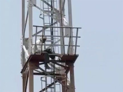 सारागांव में बुजुर्ग ने टावर पर चढ़कर मचाया हड़कंप