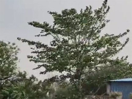 मौसम विभाग की चेतावनी: छत्तीसगढ़ में 5 दिन तक लू चलने के आसार