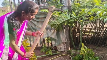 जिमीकंद से 4 करोड़ की कमाई, महिलाओं का बदला जीवन