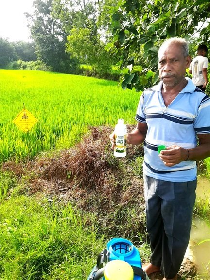 नैनो उर्वरक के उपयोग से धान उत्पादन में हुई वृद्धि, लागत में आई कमी – किसान निरंजन