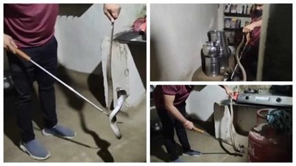 मौसम की मार, घरों में घुस रहे जहरीले सांप
