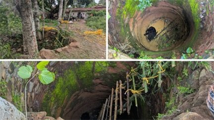 कटहल के लालच में 20 फीट गहरे कुएं में गिरा भालू, 15 घंटे चला रेस्क्यू अभियान
