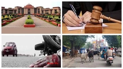 सड़क हादसों पर हाई कोर्ट नाराज़, कलेक्टरों को चेतावनी