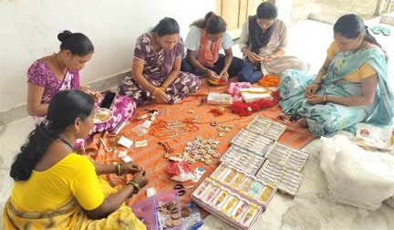 पर्यावरण संरक्षण की अनोखी पहल : सारंगढ़-बिलाईगढ़ में बिहान दीदियों की बीज राखी बिखेरेगी हरियाली