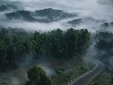 छत्तीसगढ़ में मौसम का कहर, भारी बारिश का पूर्वानुमान