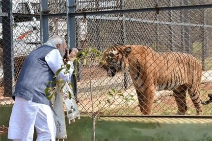 प्रकृति और वन्यजीव संरक्षण का अनूठा संगम है नंदनवन जंगल सफारी