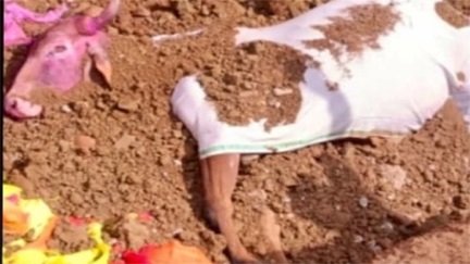 मरकामटोला में नंदी महाराज को भावभीनी विदाई