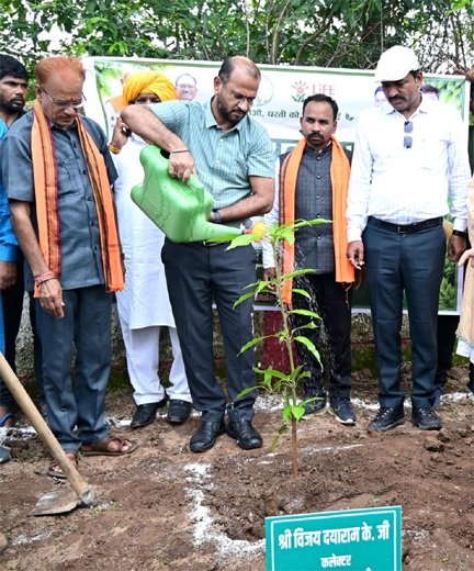 मुख्यमंत्री विष्णुदेव साय के नेतृत्व में ‘एक पेड़ मां के नाम 3.0’ अभियान को मिल रहा जन-जन का साथ