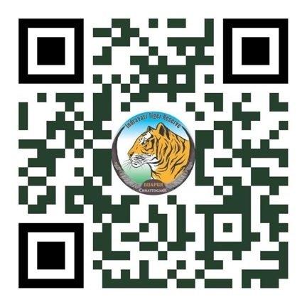अंतरराष्ट्रीय बाघ दिवस पर होगा ‘रन फॉर इंद्रावती’ मैराथन का आयोजन