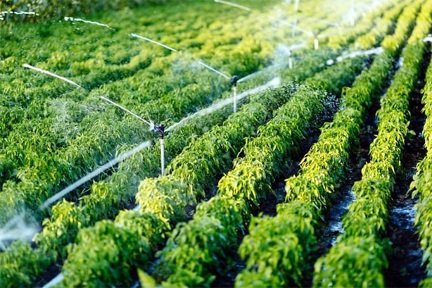 सिंचाई योजनाओं के 36 कार्यों के लिए 5 करोड़ रूपए स्वीकृत