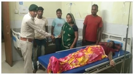 हाथियों को कैमरे में कैद करना पड़ा भारी