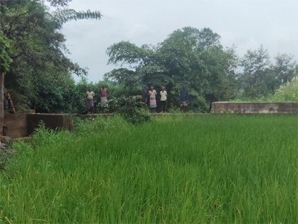 सेवा की कहानी : स्टॉपडेम से खुशहाल हुए आदिवासी परिवार