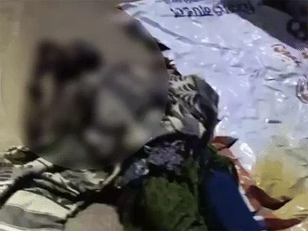 रायपुर में सनसनीखेज वारदात, महिला गंभीर