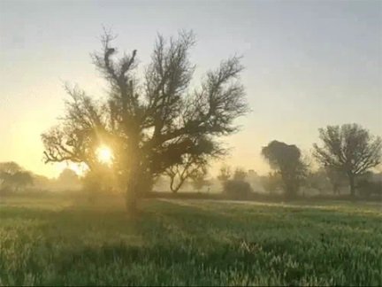 आज कई इलाकों में बारिश के आसार, रायपुर साफ